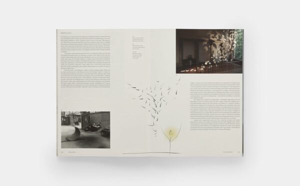 PAUL COCKSEDGE: Reflections - immagine 5